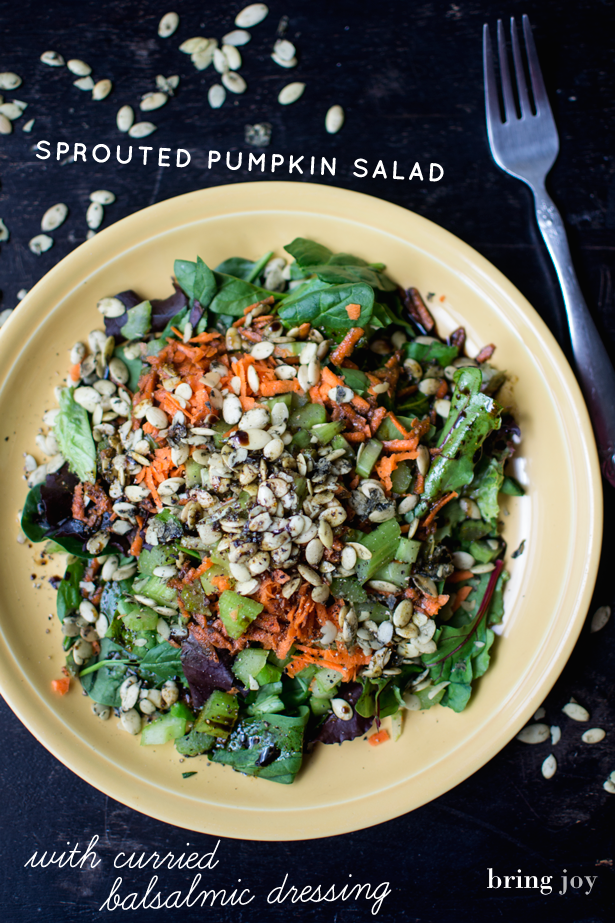 sprouted pumpkin seed salad with curry balsamic dressing