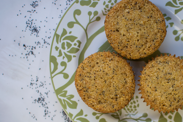 lemon poppy seed muffins -- vegan + gluten-free